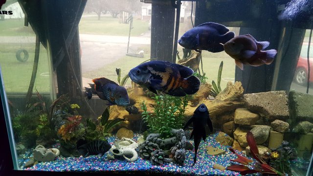 20170327_071820.jpg