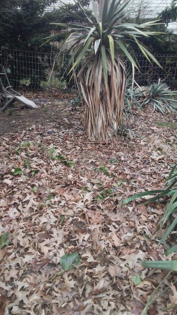 20170327_142514.jpg