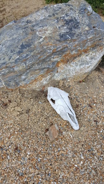 20170327_120822.jpg