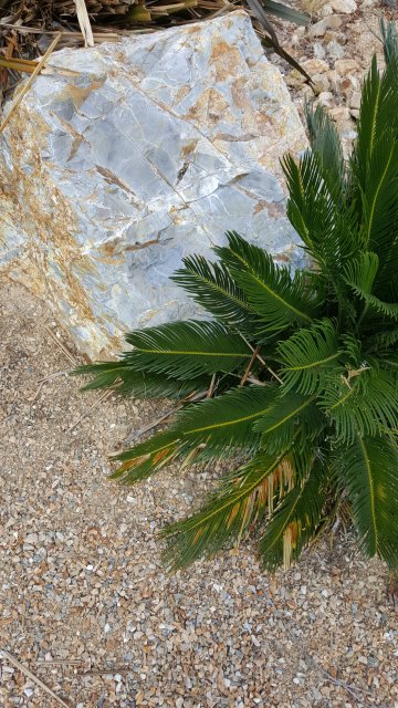 20170327_120839.jpg
