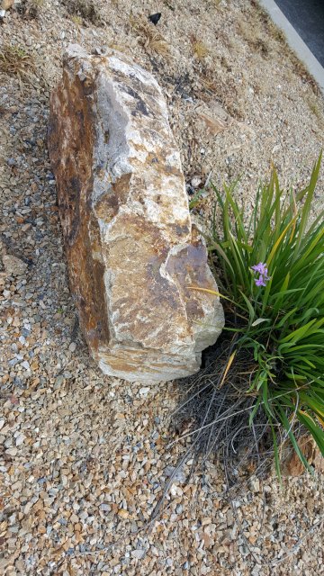 20170327_120858.jpg