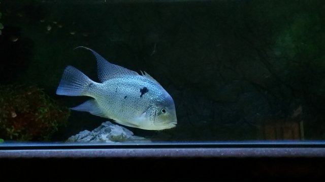 20170326_181004.jpg