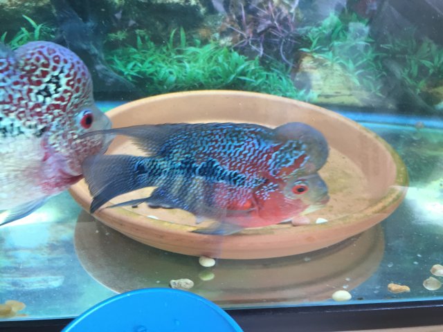 IMG_7364.JPG IMG_7364.JPG