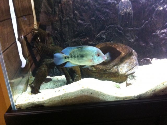 IMG_0330.JPG IMG_0330.JPG