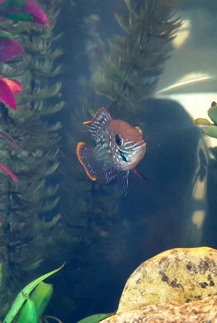 20170328_172518.jpg