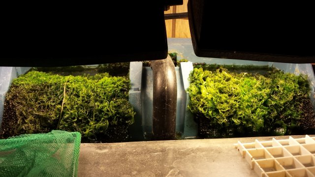 20170330_054614.jpg 20170330_054614.jpg