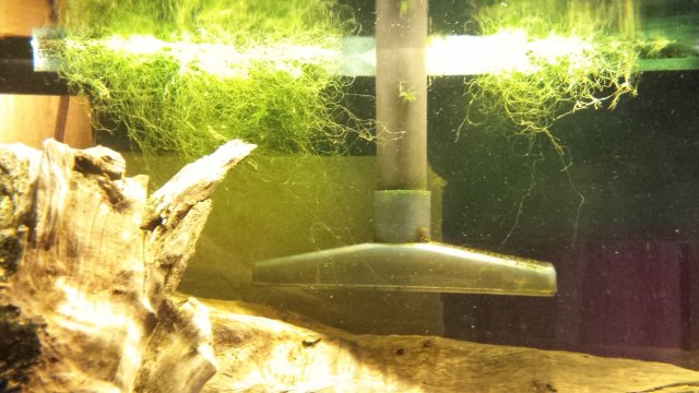 20170330_054627.jpg 20170330_054627.jpg