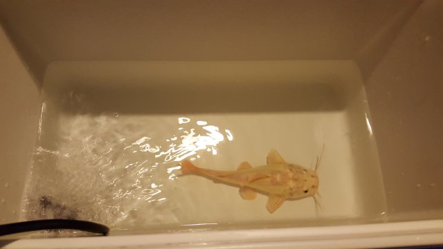 20170326_152110.jpg