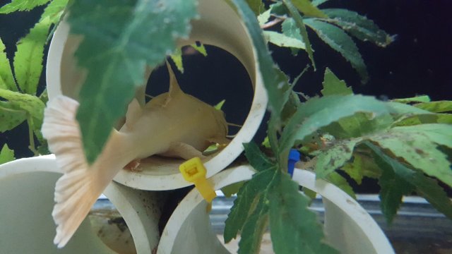 20170329_032509.jpg