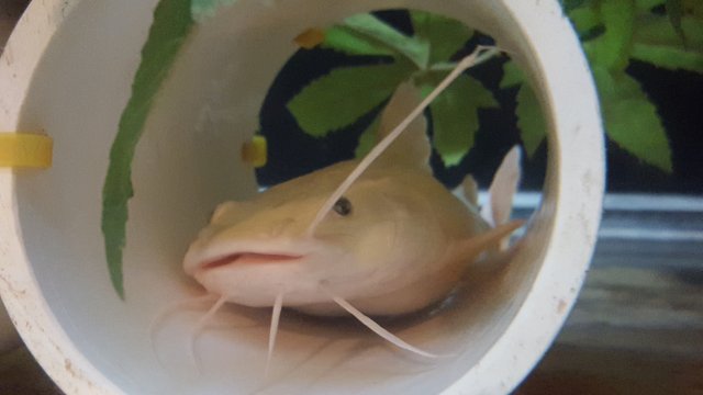 20170329_204448.jpg