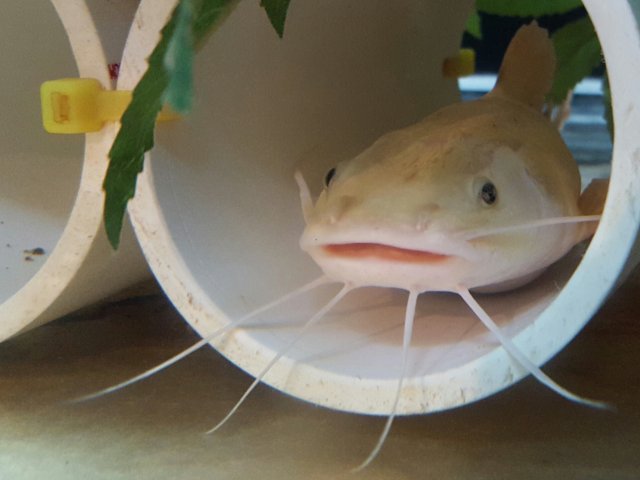 20170330_195137-1.jpg