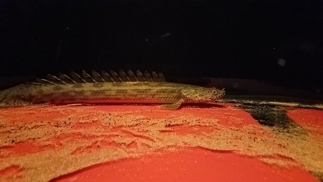 20170331_202045.jpg