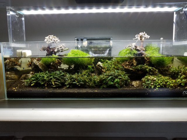 20170325_125920.jpg