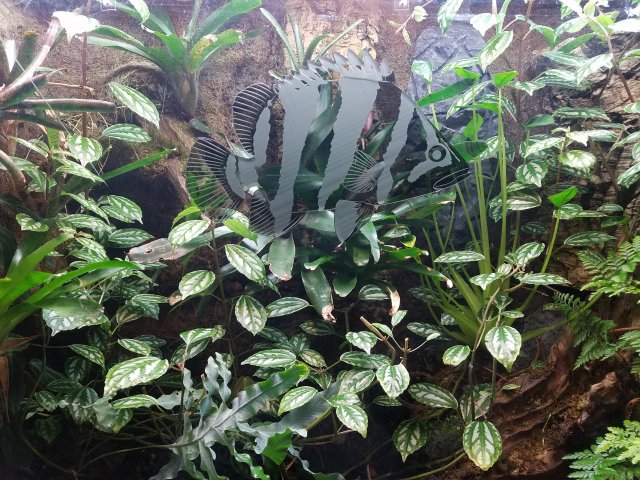 20170401_212814.jpg