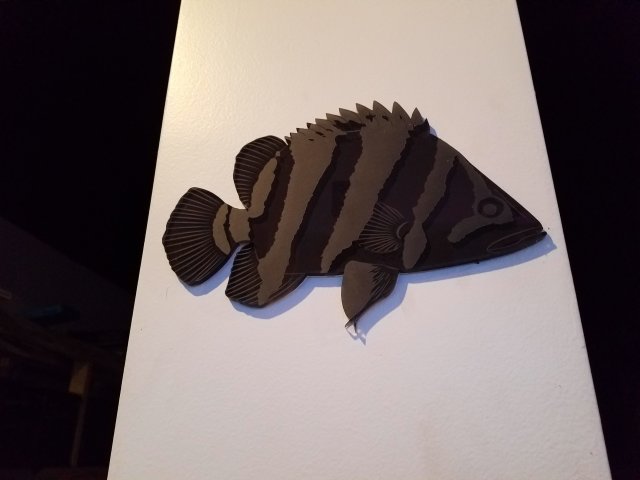 20170401_200454.jpg