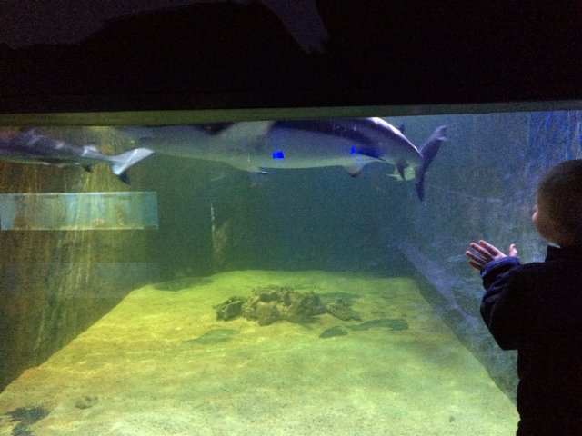 IMG_1053.JPG