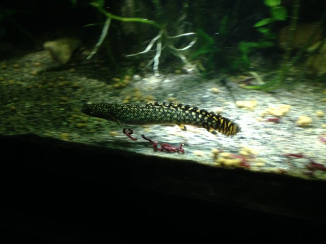 IMG_7435.JPG
