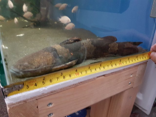 20170401_161832.jpg