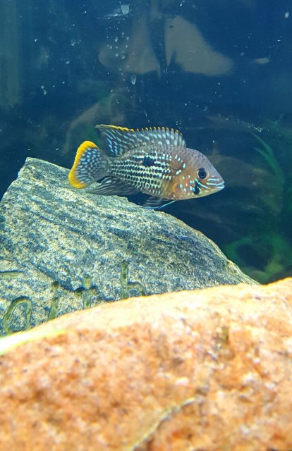 20170403_163528.jpg