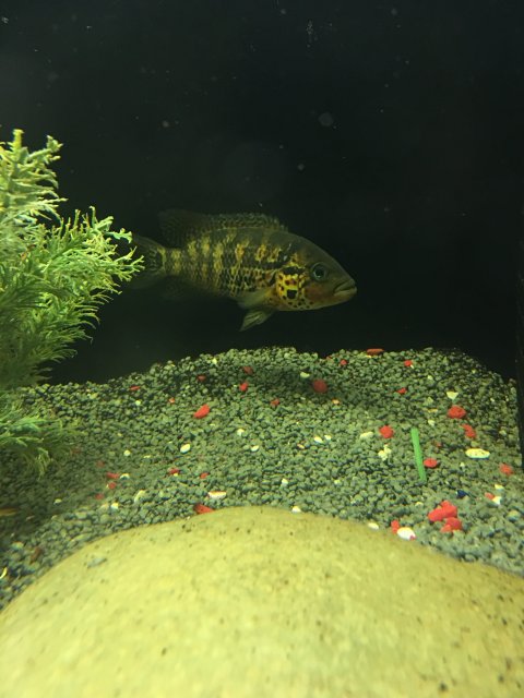 IMG_3866.JPG