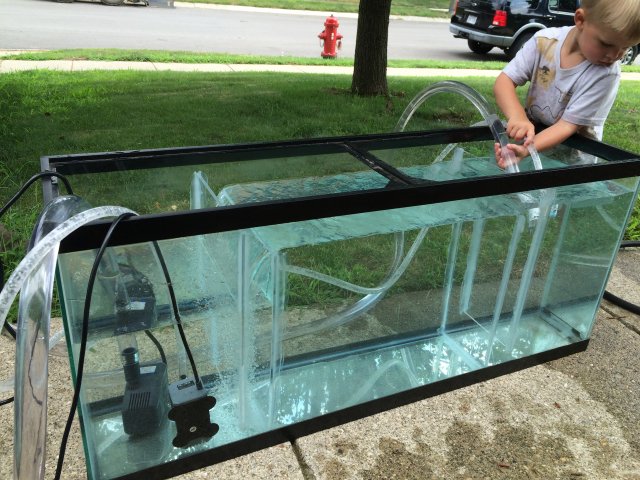 IMG_1291.JPG IMG_1291.JPG