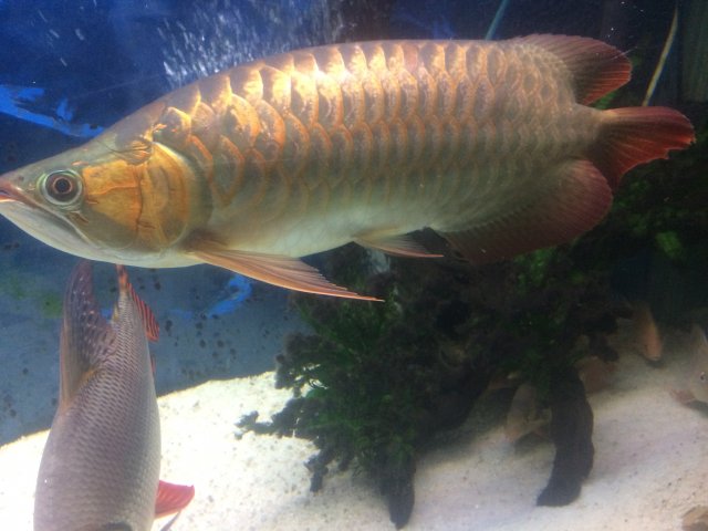 059 (3)flashlast.JPG 059 (3)flashlast.JPG