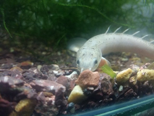 20170405_222202.jpg