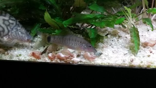 20170405_203355.jpg