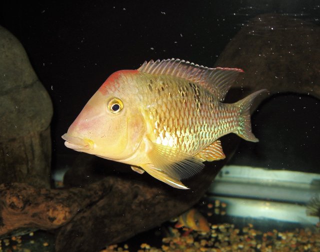 stein3 (2).jpg stein3 (2).jpg