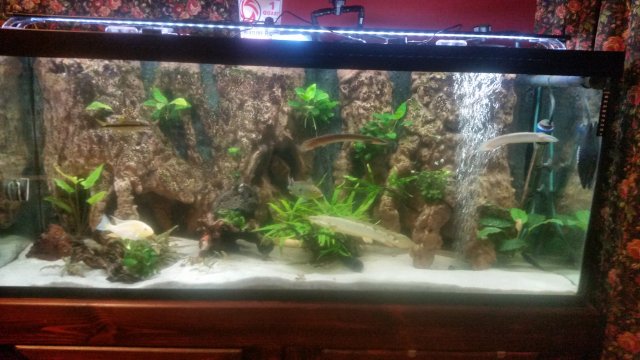 20170213_185114.jpg