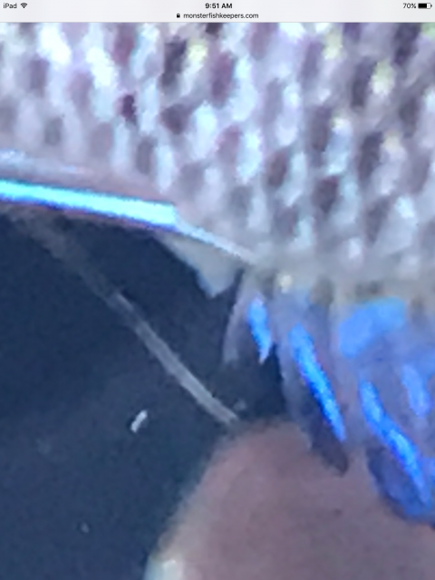 IMG_0324.PNG
