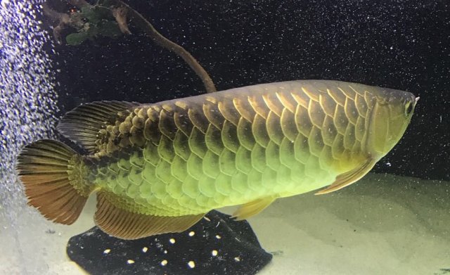 IMG_2896.JPG IMG_2896.JPG