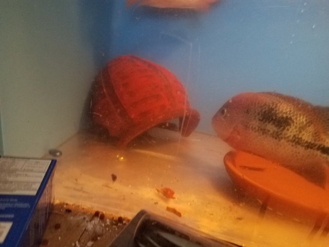 20170408_143700.jpg