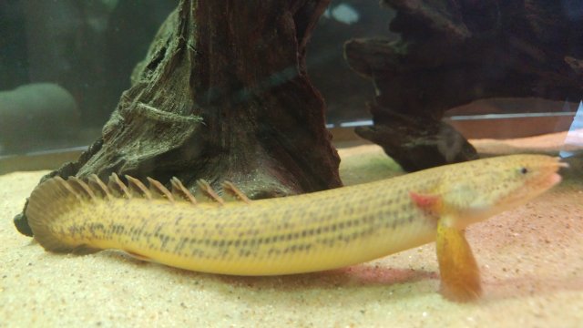 20170409_132547.jpg