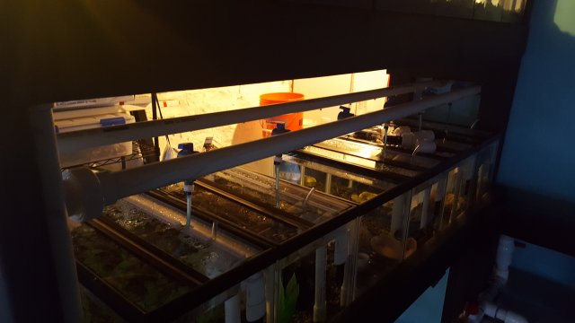 20170409_154150.jpg 20170409_154150.jpg