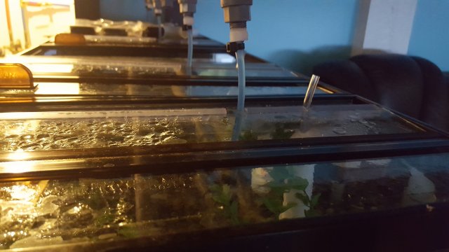 20170409_154202.jpg 20170409_154202.jpg