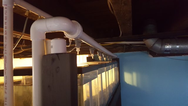 20170409_154348.jpg 20170409_154348.jpg