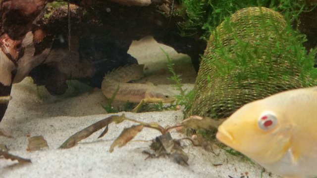 20170408_170837.jpg