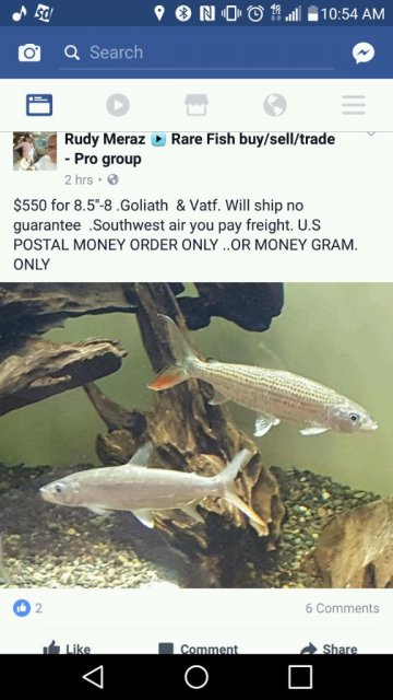 IMG_3676.JPG IMG_3676.JPG