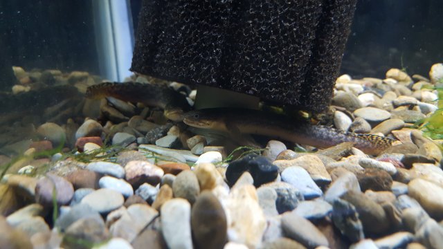 20170410_185611.jpg