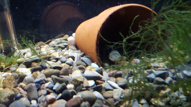 20170410_185620.jpg