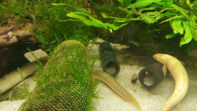 20170408_170752.jpg
