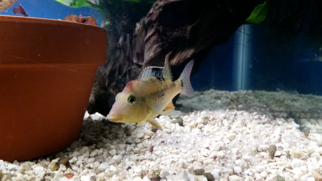 20170402_203751.jpg