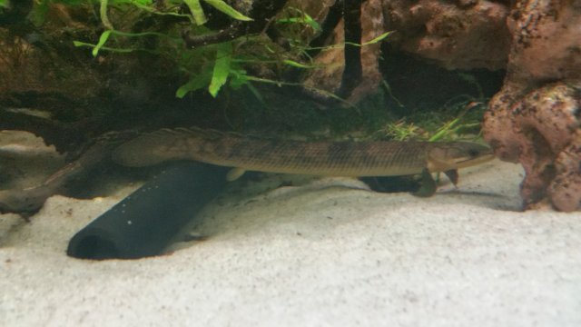 20170411_182643.jpg