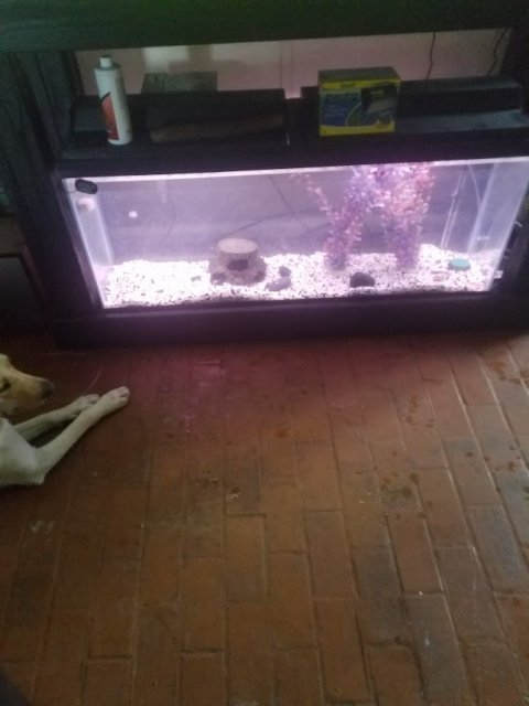20170412_185306.jpg