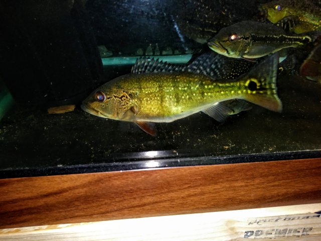 20170412_181510.jpg