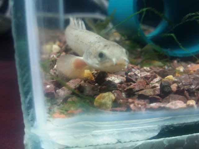20170405_221819.jpg