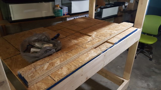 20170221_210302.jpg