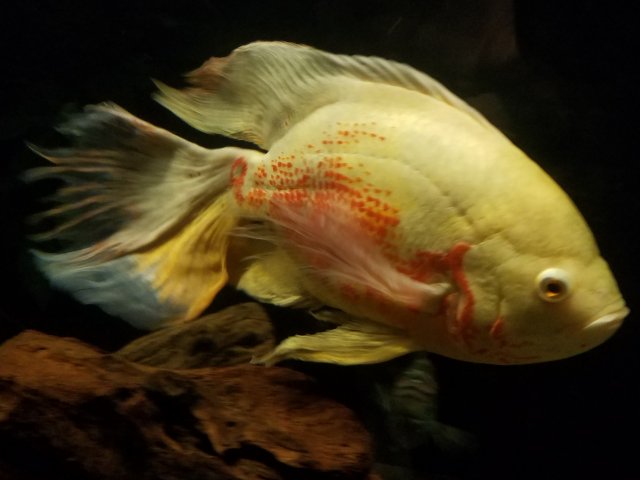 20170323_010755.jpg
