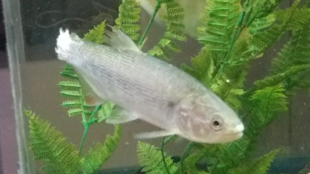20170414_170618.jpg